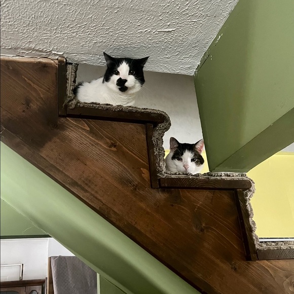 Offers are welcomed and encouraged - Picture 2 of 6